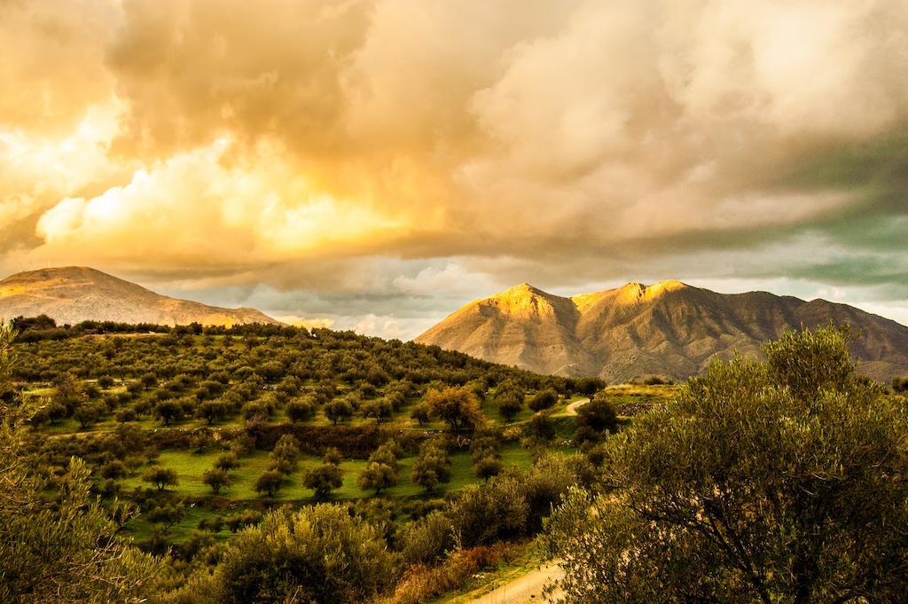 Enagron Ecotourism Village Axós Dış mekan fotoğraf