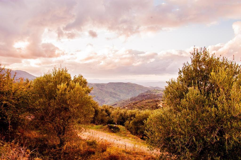 Enagron Ecotourism Village Axós Dış mekan fotoğraf