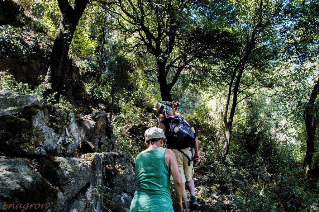 Enagron Ecotourism Village Axós Dış mekan fotoğraf