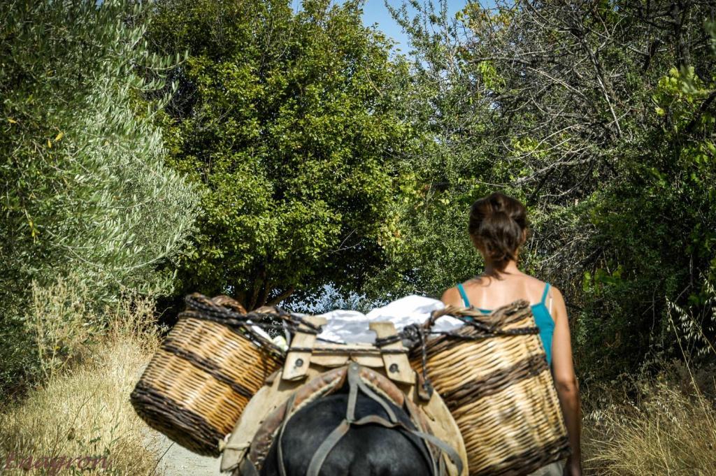 Enagron Ecotourism Village Axós Dış mekan fotoğraf