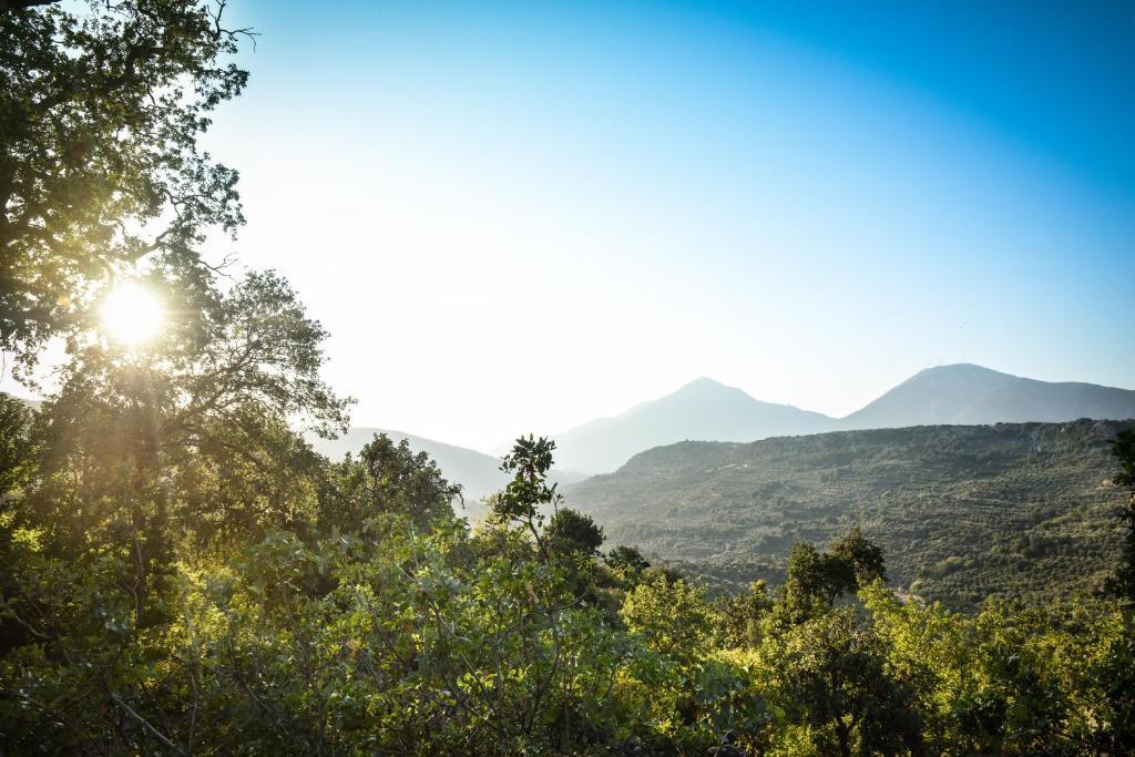 Enagron Ecotourism Village Axós Dış mekan fotoğraf