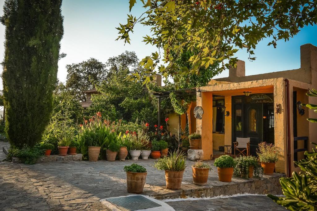 Enagron Ecotourism Village Axós Dış mekan fotoğraf