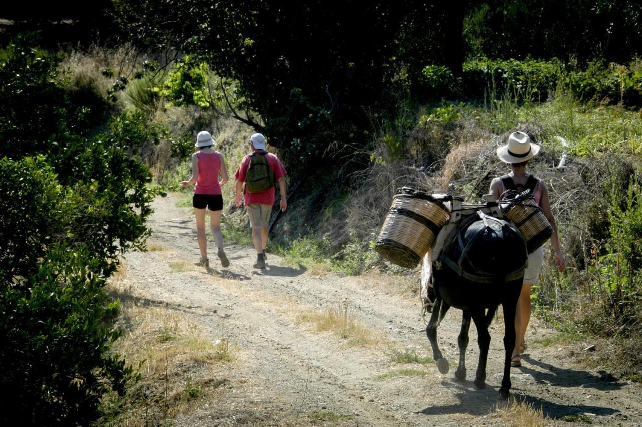 Enagron Ecotourism Village Axós Dış mekan fotoğraf